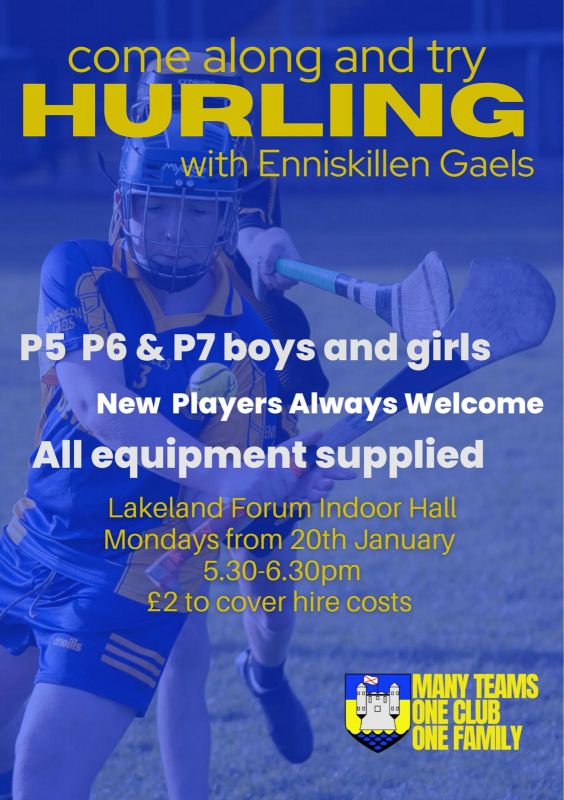 Enniskillen Gaels Hurling